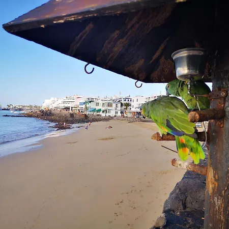 Apartment Mares De Lava - *