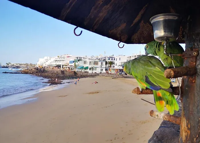 شقة Mares De Lava - *